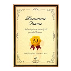 Frame Document Certificate A3 w Hooks & Stand