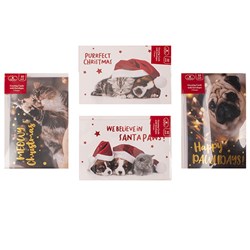 Cards Xmas Box 10 115X177mm Textured Foil Cats Dogs