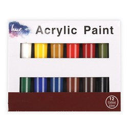 Acrylic Paint Jars 22ml Pk12