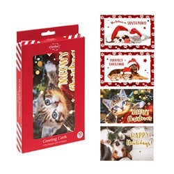 Cards Xmas Box 10 115x177mm Textured Foil Cats Dogs