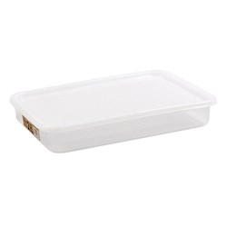 Container Plastic Reusable w Lid Rectangle 2.5L 31x22x5cm