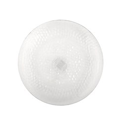 Clear Plate Large Dia 25cm
