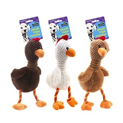 Dog Toy Squeaky Bird Asst 3 28x17cm