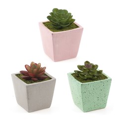 Artificial Plant w Cement Pot 3 Asstd Designs