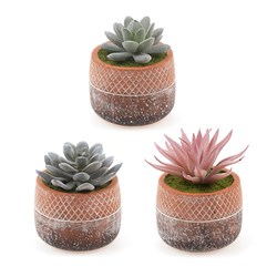 Artificial Plant w Dolomite Pot 3 Asstd Designs