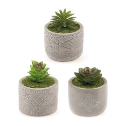 Artificial Plant w Cement Pot 3 Asstd Designs