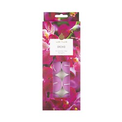 Tealights Scented 4 Hour Pk10 Orchid