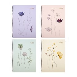 Notebook Card Cover Printed Spiral 4 Asstd A4 120pg