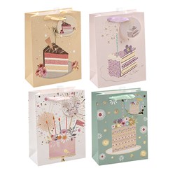 Gift Bag 210gsm Cake w Emboss w J Hook M 180x240x80mm