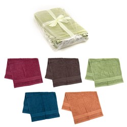 Towel Hand 2pk 425GSM 40x70cm Asst Cols