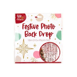 Decoration Xmas Photo Star Foil Back Drop 2m