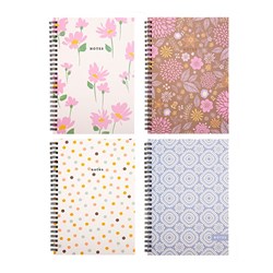 Notebook Card Cover Printed Spiral 4 Asstd A4 120pg