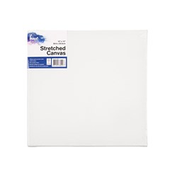 Canvas Art 1Pk 17mm 12x12in W16.1 FSC MIX Credit