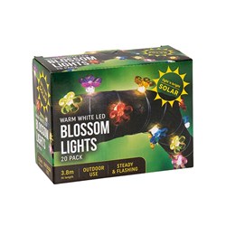 Lights Blossom Pin Wire W.W Leds Colour Covers Solar Pk20