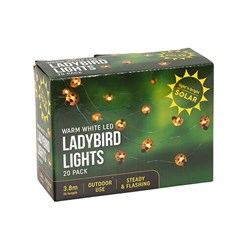 Lights Ladybird Pin Wire W.W Solar Pk20