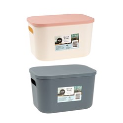 PP Storage Basket w Lid 25.5x18x15cm 2 Asst Cols