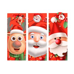 Gift Bag Xmas Matte 210gsm Bottle w JHook 3 Asst