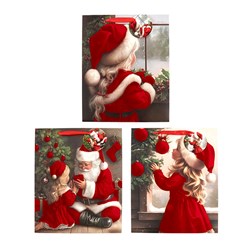 Gift Bag Xmas Flocked 210gsm L w JHook Santa Asst