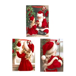 Gift Bag Xmas Flocked 210gsm XL w JHook Santa Asst