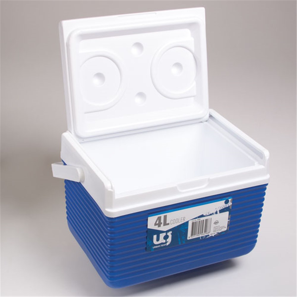 56496 Cooler Box Plastic 4 Ltr Dats