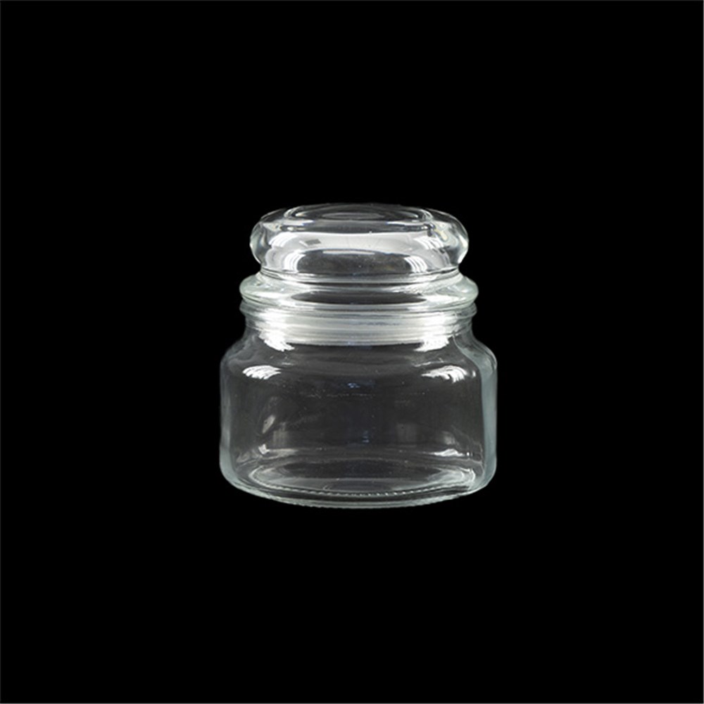 59587 Glass Jar Multipurpose w Dome Glass Lid 350ml 10x10.5cm Dats